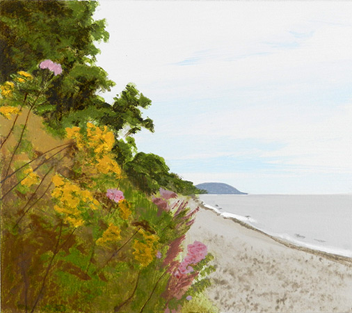 Vildblommor Vik
